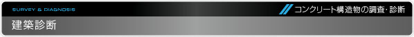 コンクリート構造物の調査・診断｜建築診断